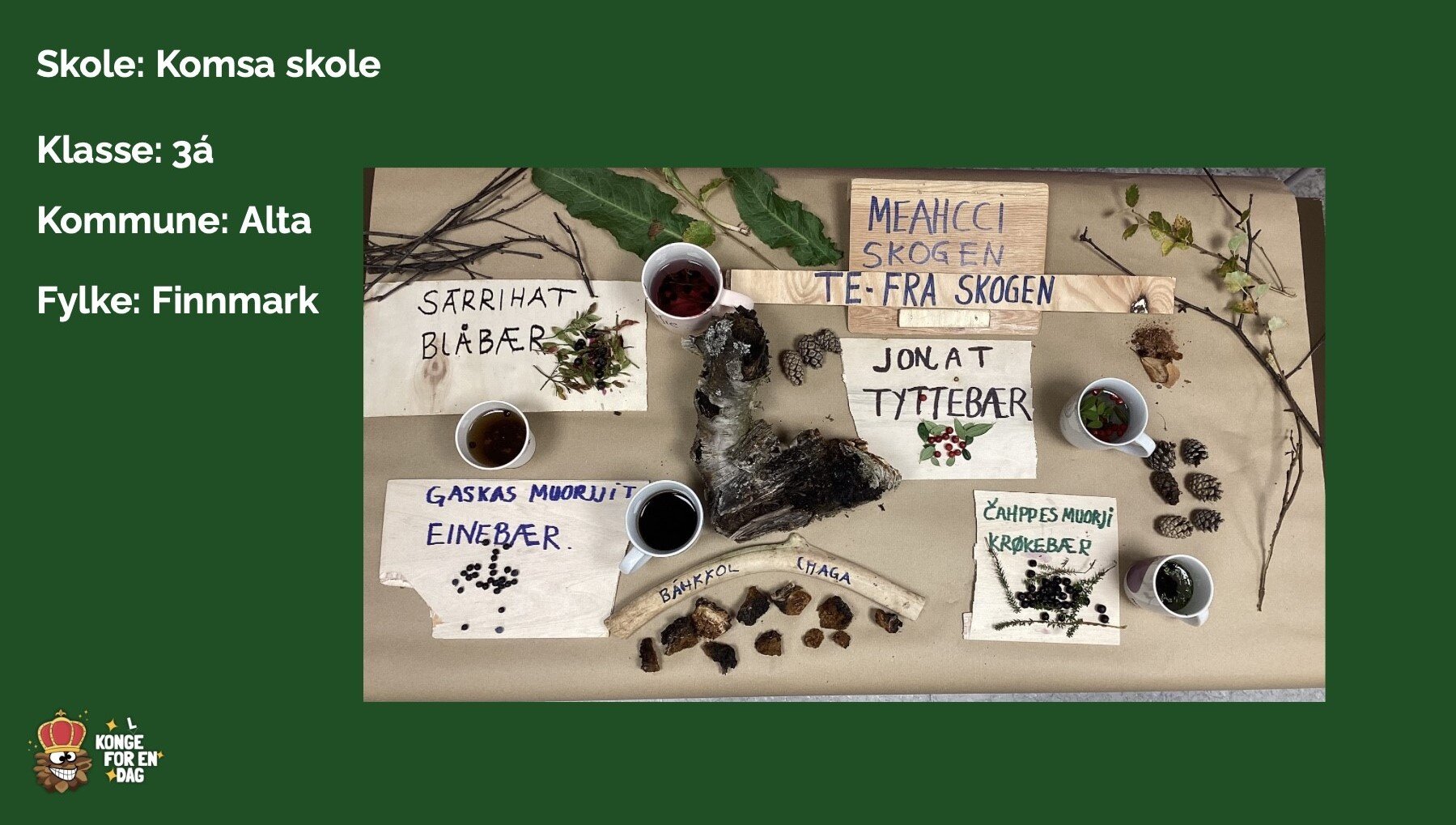 https://www.brusletto.se/pub_docs/files/3.-plass_.jpg