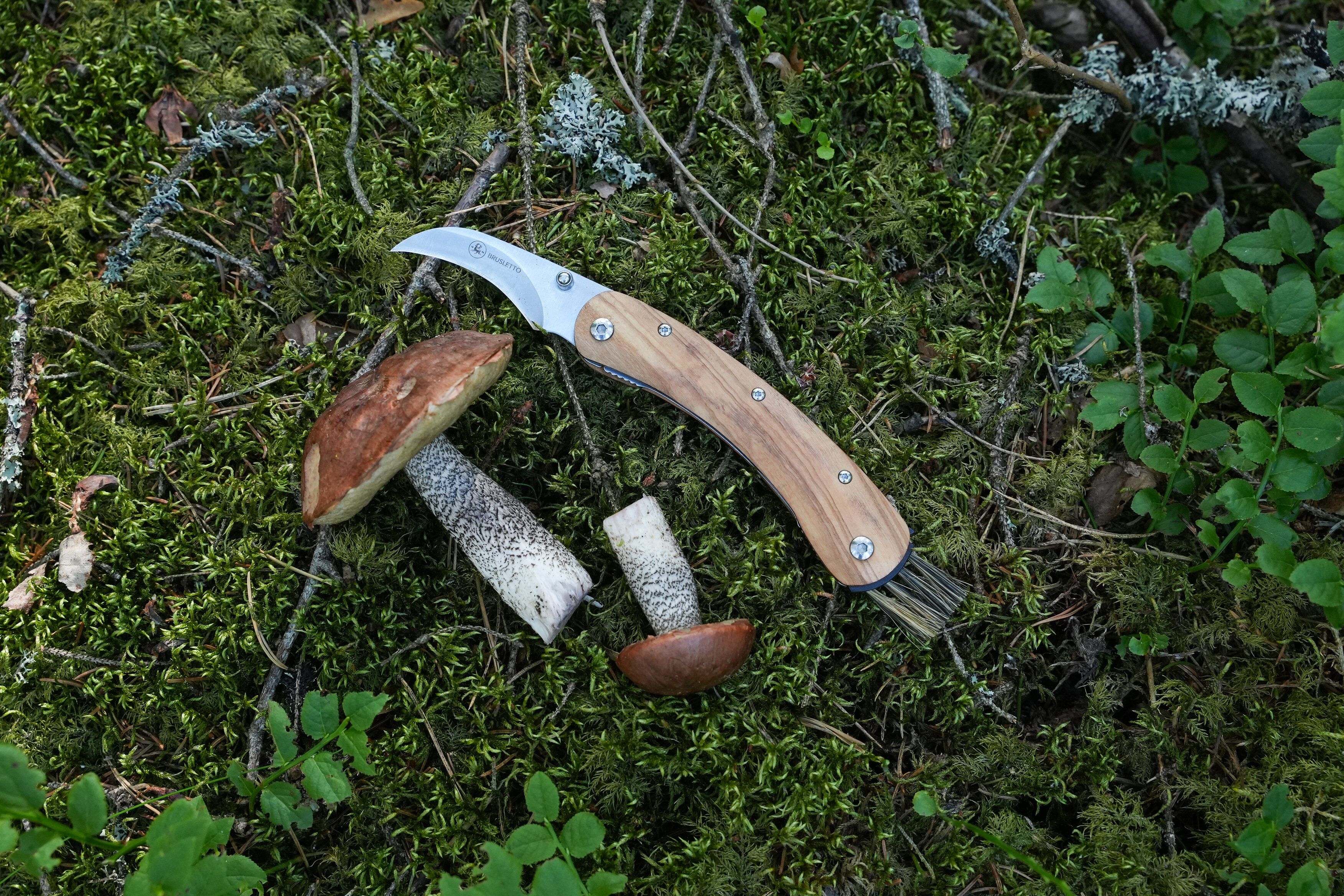 https://www.brusletto.se/pub_docs/files/DSC03864.JPG